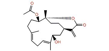 Sinuflexiolide K